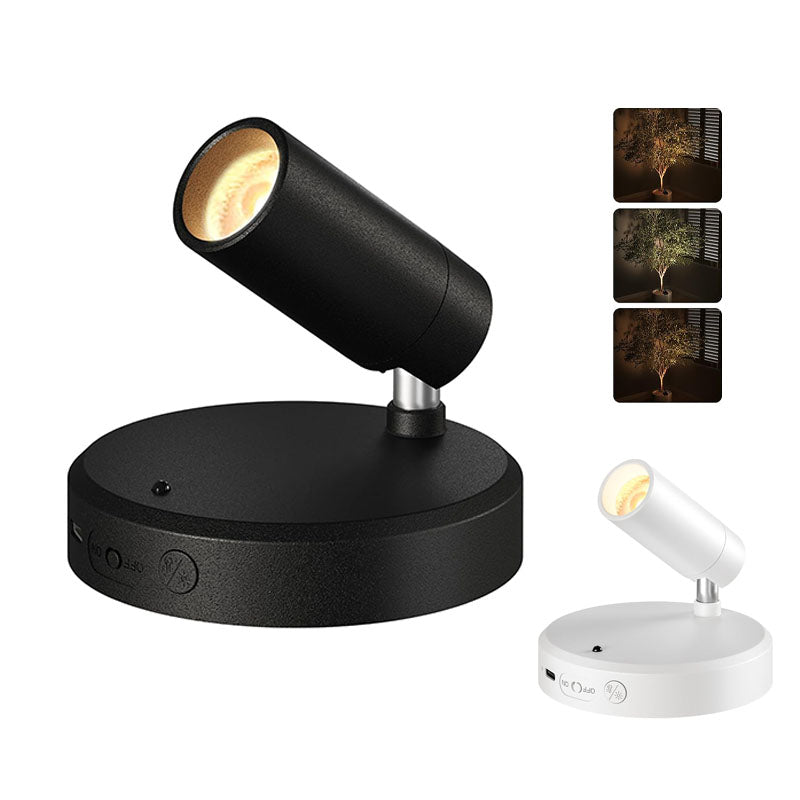 IWASHI Adjustable Indoor Spotlight, Dual Head Wall Uplight for Pictures, Artwork & Ambient Lighting