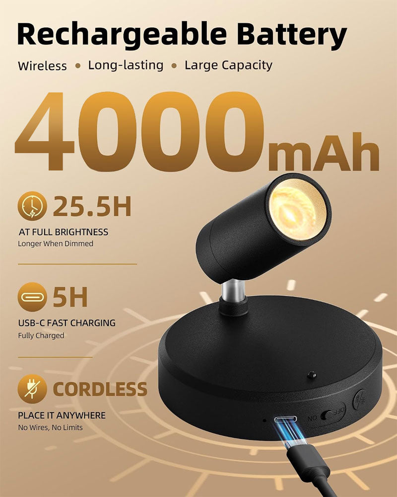 IWASHI Adjustable Indoor Spotlight, Dual Head Wall Uplight for Pictures, Artwork & Ambient Lighting