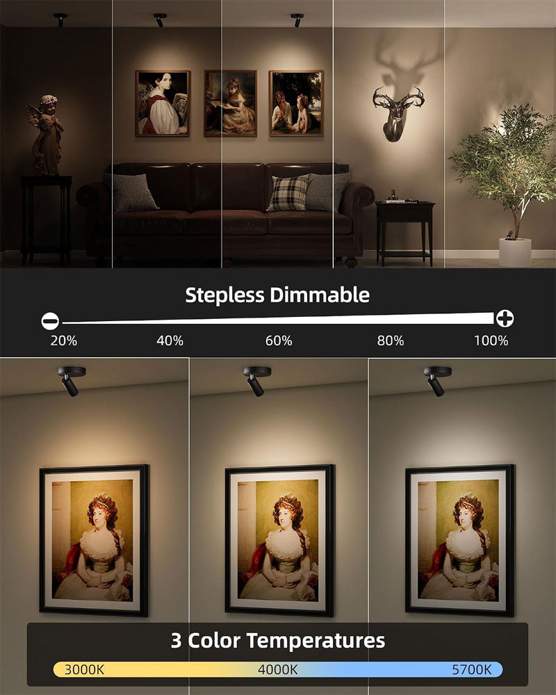 IWASHI Adjustable Indoor Spotlight, Dual Head Wall Uplight for Pictures, Artwork & Ambient Lighting
