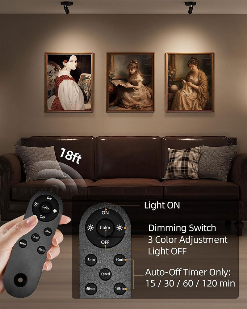 IWASHI Adjustable Indoor Spotlight, Dual Head Wall Uplight for Pictures, Artwork & Ambient Lighting