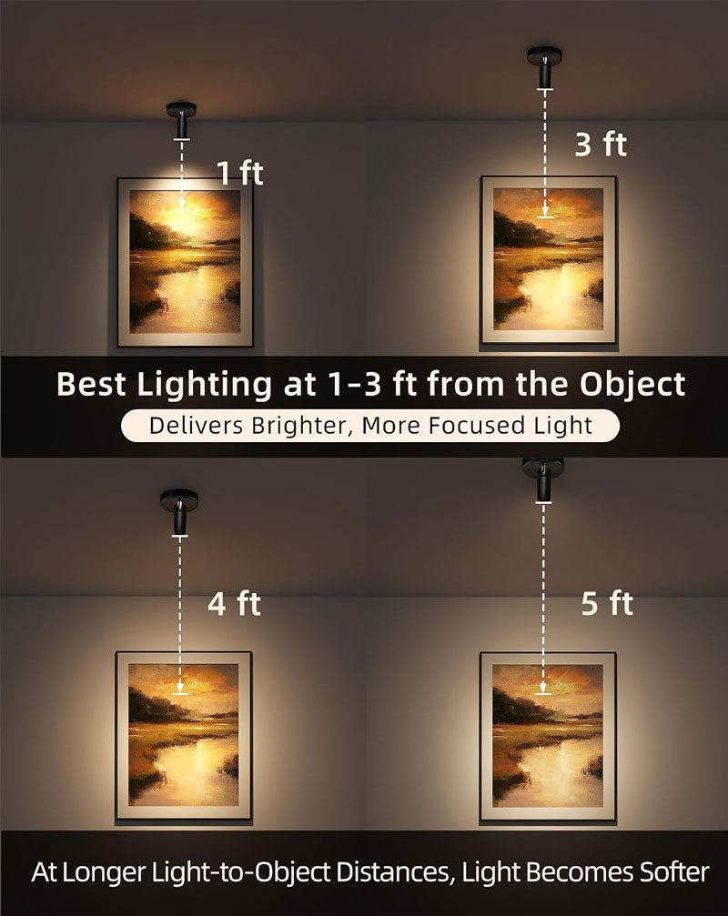 IWASHI Adjustable Indoor Spotlight, Dual Head Wall Uplight for Pictures, Artwork & Ambient Lighting