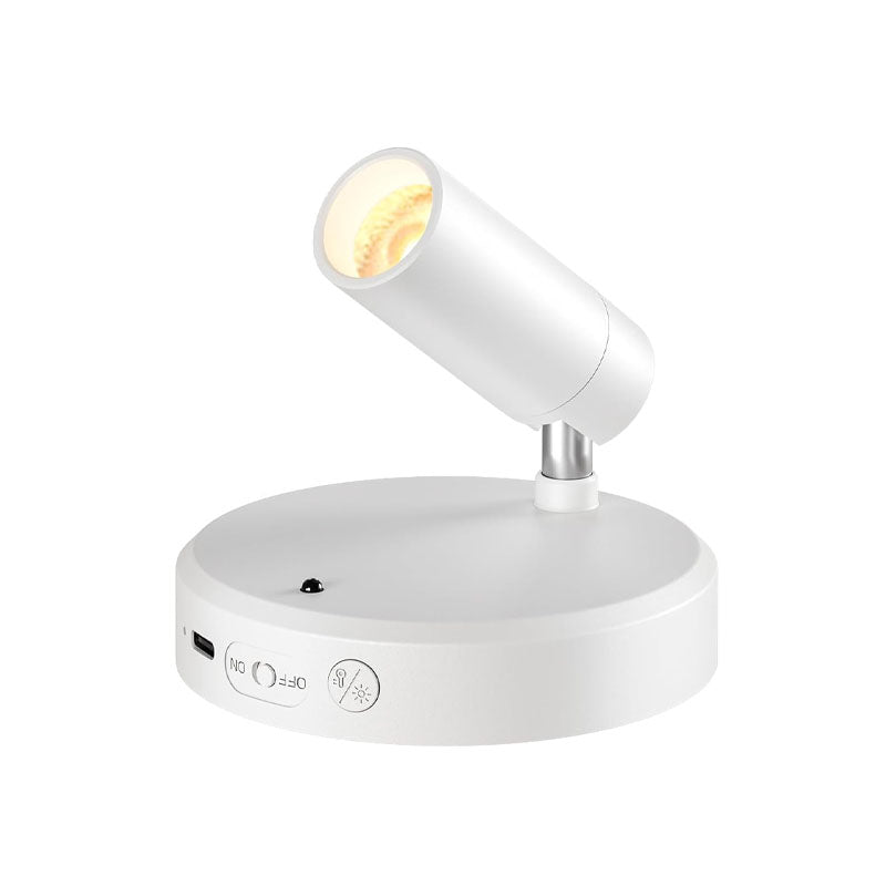 IWASHI Adjustable Indoor Spotlight, Dual Head Wall Uplight for Pictures, Artwork & Ambient Lighting