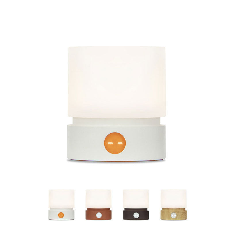 IWASHI Rechargeable Touch Table Lamp with Stepless Dimming & Timer