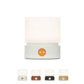 IWASHI Rechargeable Touch Table Lamp with Stepless Dimming & Timer