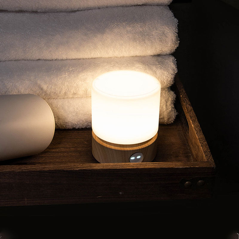 IWASHI Rechargeable Touch Table Lamp with Stepless Dimming & Timer
