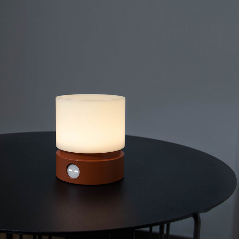 IWASHI Rechargeable Touch Table Lamp with Stepless Dimming & Timer
