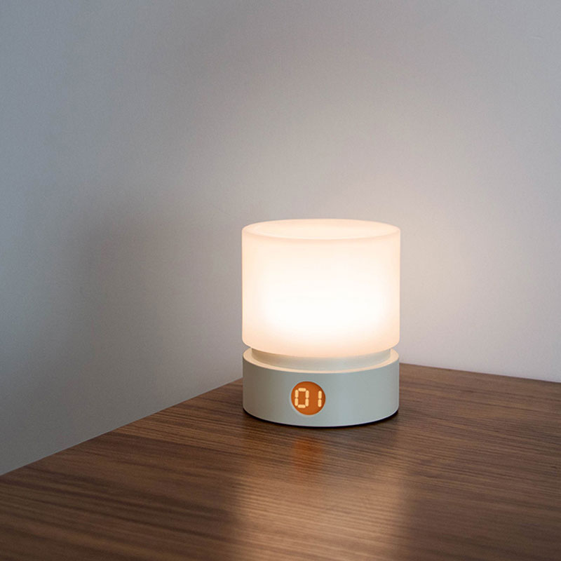 IWASHI Rechargeable Touch Table Lamp with Stepless Dimming & Timer