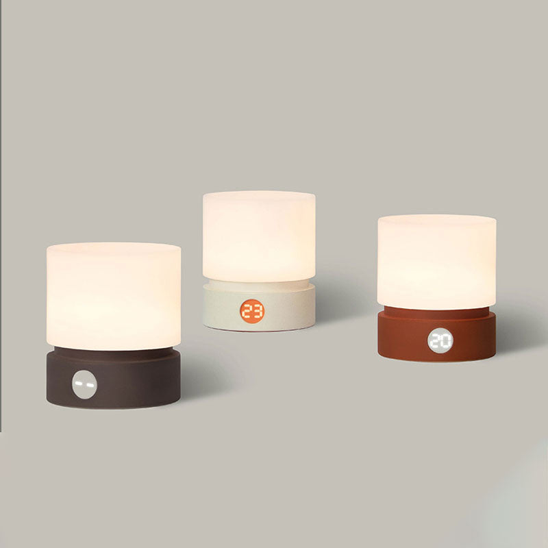 IWASHI Rechargeable Touch Table Lamp with Stepless Dimming & Timer