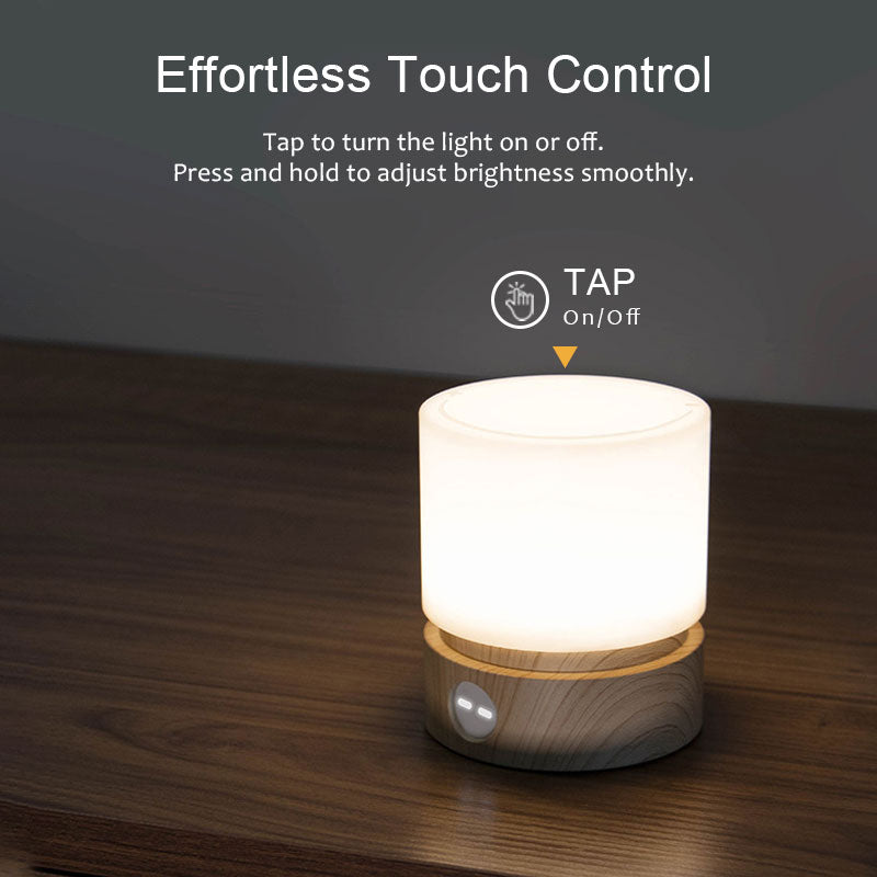 IWASHI Rechargeable Touch Table Lamp with Stepless Dimming & Timer