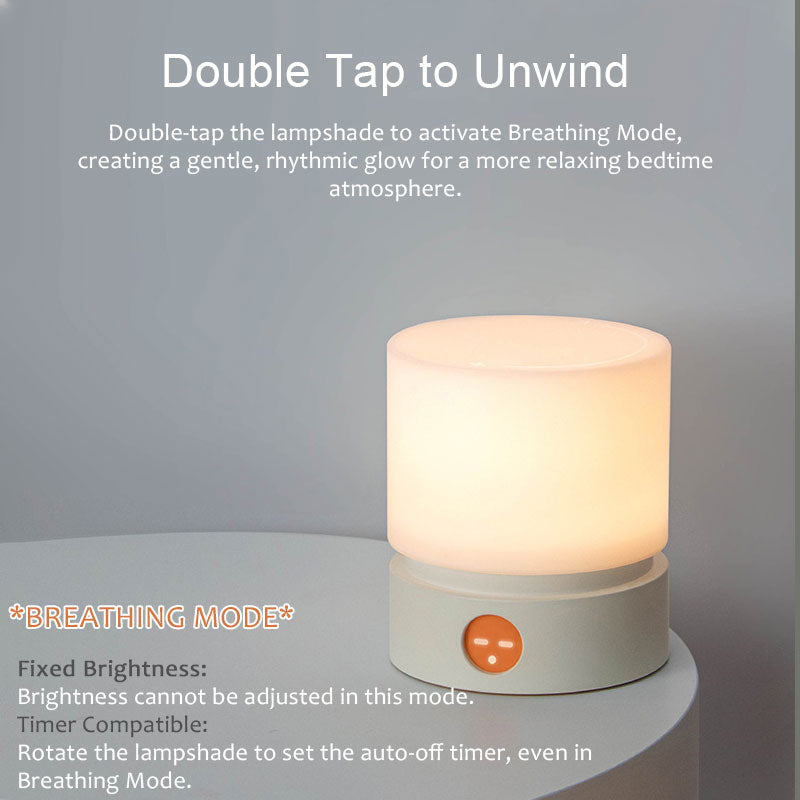 IWASHI Rechargeable Touch Table Lamp with Stepless Dimming & Timer