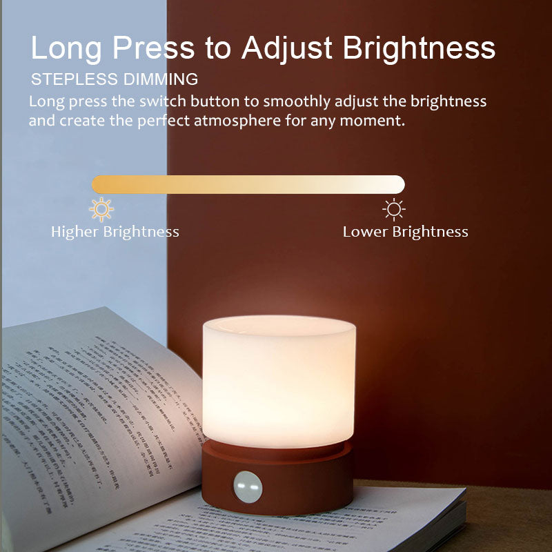 IWASHI Rechargeable Touch Table Lamp with Stepless Dimming & Timer